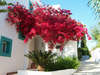Mastichari Bay Hotel 